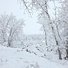 Snow-covered trees and bushes surrounding a partially visible, calm river under a gray sky